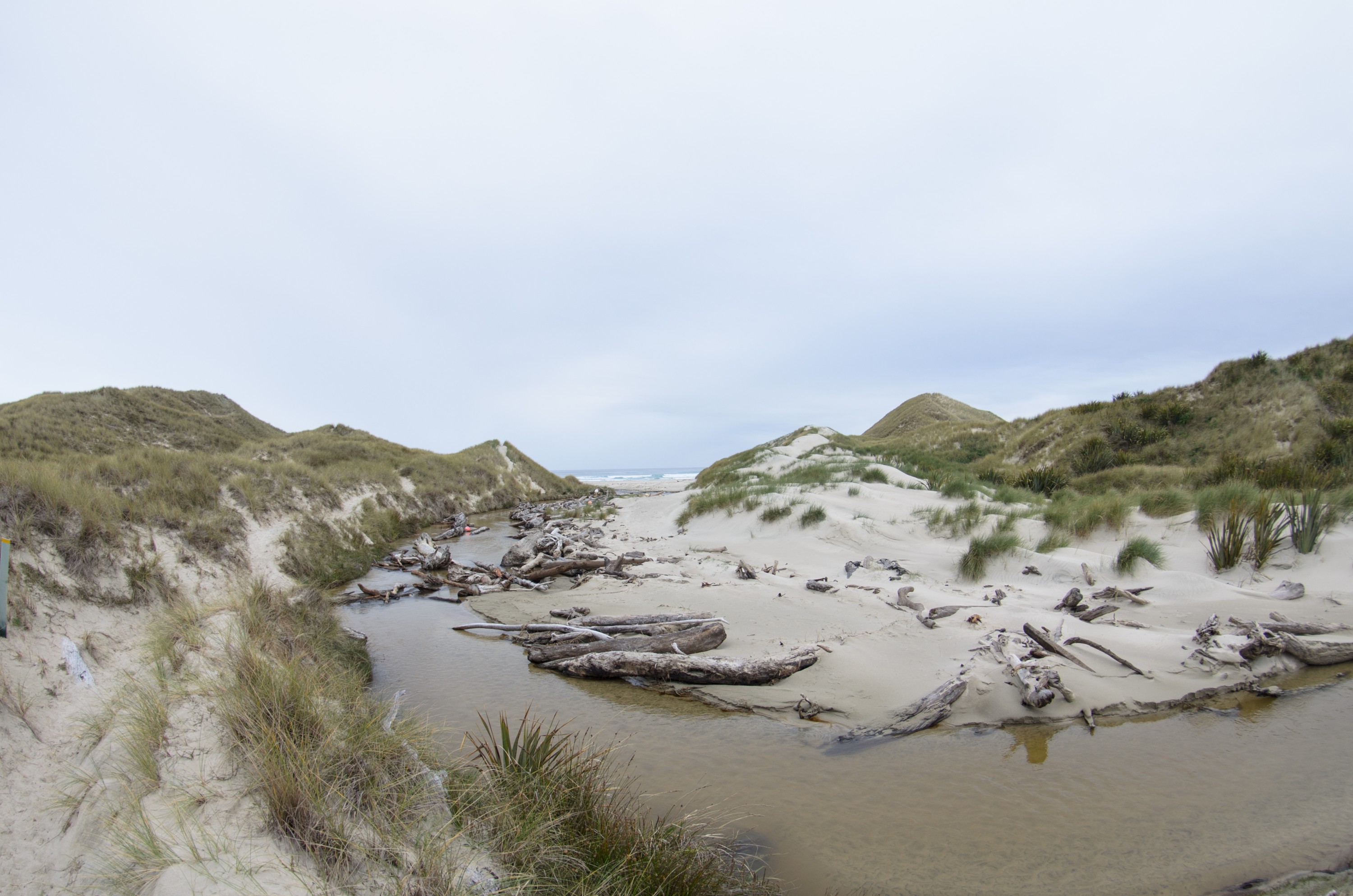 DSC_1992 – Adventure, Bay, Crispin, Island, March 2017, Mason, Mason Bay, National Park, New, New Zealand, Rakiura, Rubbish, South, Stewart, Zealand, fishing gear